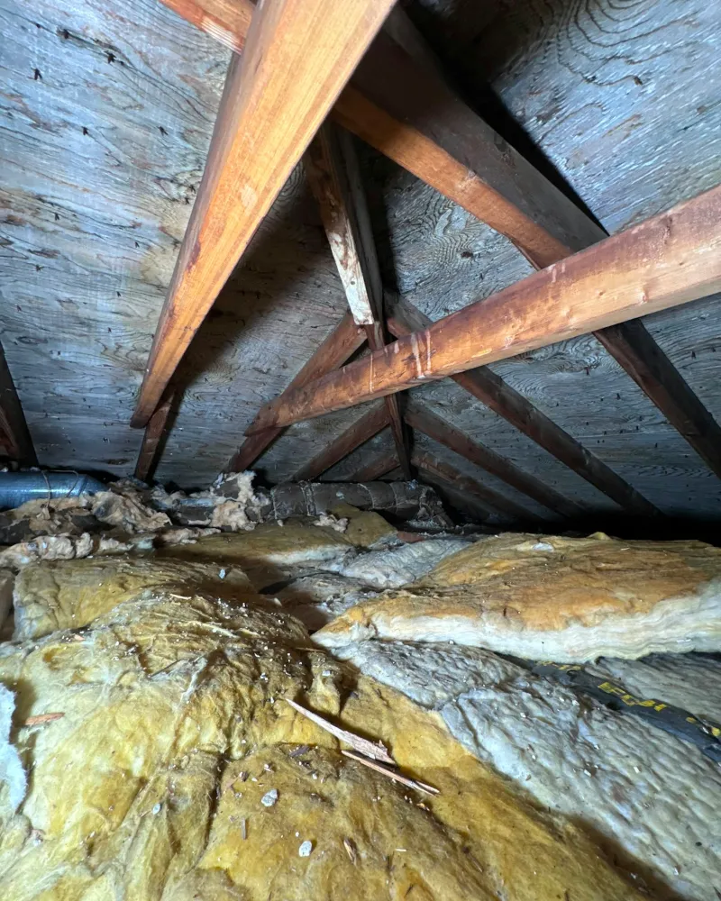 Bajo cubierta de una buhardilla con mantas de lana mineral entre las vigas de madera del tejado